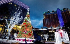 하이원 그랜드 호텔 메인타워(강원랜드 호텔) 검색결과 하이원 그랜드 호텔 메인타워(강원랜드 호텔)