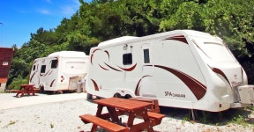 완도수목원펜션 검색결과 완도수목원펜션