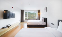 호텔 헤이븐 검색결과 호텔 헤이븐