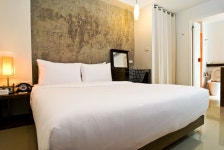 디 앨범 호텔 (The Album Hotel) - 몽키트래블