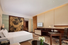 뉴 월드 대련 검색결과 뉴 월드 대련