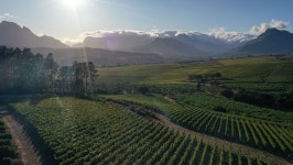 Cape Winelands District Municipality 더 로그 캐빈 | 2026년 최신 가격 & 프로모션 - 클룩 Klook 대한민국