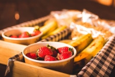 Malanda Lodge Motel | Qantas Hotels Malanda Lodge Motel