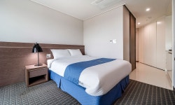 골든튤립 에센셜 남강 검색결과 골든튤립 에센셜 남강