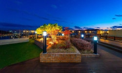 골든튤립 에센셜 남강 검색결과 골든튤립 에센셜 남강