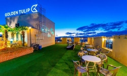 골든튤립 에센셜 남강 검색결과 골든튤립 에센셜 남강