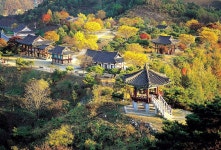 청풍 리조트 검색결과 청풍 리조트
