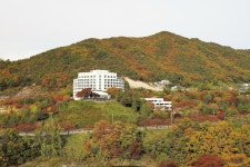 청풍 리조트 검색결과 청풍 리조트