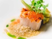 다와 유라 교토 검색결과 다와 유라 교토