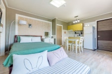 통영 풍차마을 아이리스 검색결과 통영 풍차마을 아이리스