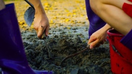 통영풍차마을 튜울립펜션 | 통영호텔 예약 · 가격비교 | 호텔패스