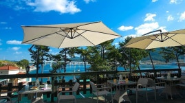 통영풍차마을 튜울립펜션 검색결과 통영풍차마을 튜울립펜션