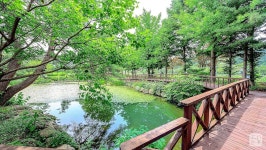 오월의 정원-스파펜션 | 강릉호텔 예약 · 가격비교 | 호텔패스