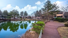 오월의 정원-스파펜션 | 강릉호텔 예약 · 가격비교 | 호텔패스