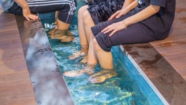 남해 라운지32 리조트 A동 검색결과 남해 라운지32 리조트 A동