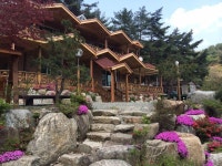Olga Pension | Qantas Hotels Olga Pension