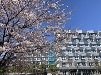 마리나베이 속초 검색결과 마리나베이 속초