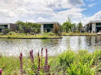 Detached Light Chalet With Dishwasher not far From Hoorn | Qantas Hotels Detached Light Chalet With Dishwasher not far From Hoorn
