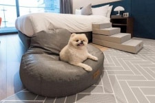 부산 - 부산 영무파라드호텔 해운대 비치 후기, 가격, 위치 - 예약