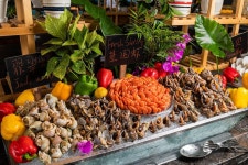 메이산/인터컨티넨탈 헤이롱 레이크 검색결과 메이산/인터컨티넨탈 헤이롱 레이크