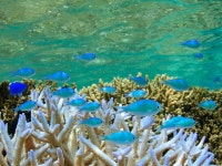 웰니스 빌라 브리사 | 오키나와-미야코지마호텔 예약 · 가격비교 | 호텔패스