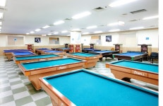 비발디파크 검색결과 비발디파크