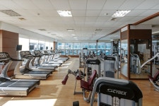 팔레드시즈콘도 검색결과 팔레드시즈콘도