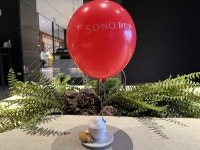 소노펫 클럽 & 리조트 비발디 파크 검색결과 소노펫 클럽 & 리조트 비발디 파크