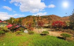 평창 평창펜션마을(용평점)