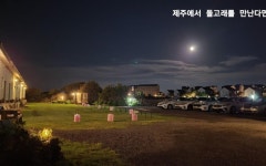 제주 제주에서돌고래를만난다면