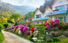 Gapyeong Sky Picture Pension | Qantas Hotels Gapyeong Sky Picture Pension