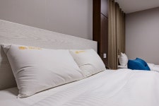 렉스호텔 검색결과 렉스호텔