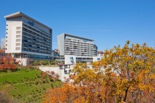 하이원 콘도 검색결과 하이원 콘도