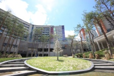 하이원 콘도 검색결과 하이원 콘도