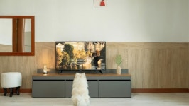 안산 - 대부도 반딧불펜션 후기, 가격, 위치 - 예약