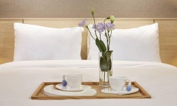 진주 라온스테이 인 페를라 검색결과 진주 라온스테이 인 페를라