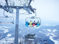 숲속의 요정 검색결과 숲속의 요정