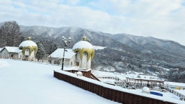 숲속의 요정 검색결과 숲속의 요정