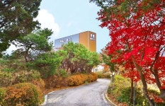 Daisy Hotel | Qantas Hotels Daisy Hotel