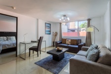 스위트 259 검색결과 스위트 259