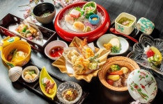 호텔 카지카소 검색결과 호텔 카지카소