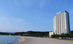 E7 양양 죽도 검색결과 E7 양양 죽도