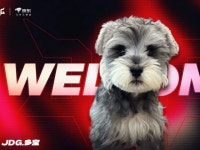 JD Gaming introduces team pet Duobao as League of Legends fans react JD Gaming introduces team pet Duobao as League of Legends... 