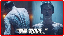 영화 사자 보구 오니라 - 역학 갤러리