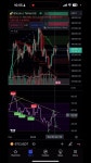 The Trading Parrot - YouTube