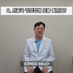 은행나무한의원 - YouTube