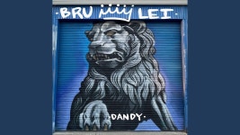 Dandy - Bru Lei: 노래 가사, 뮤직 비디오 및 콘서트