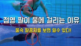 유튜브 이 수영영상 여기 만세접영 살려줘영 많이 나옴 ㅋㅋ - 수영 일상 미니 갤러리