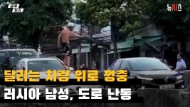 달리는 차량 위로 껑충…러시아 남성, 도로 난동 - 글로벌 정치 미니 갤러리