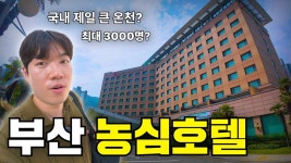 농심호텔 최근리뷰 머냐 - 점퍼 갤러리